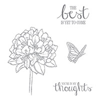 Best Thoughts Clear-Mount Stamp Set by Stampin' Up!