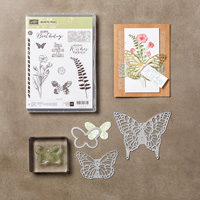 Butterfly Basics Photopolymer Bundle