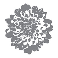 Definitely Dahlia Clear-Mount Background Stamp by Stampin' Up!