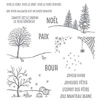 De ma fenêtre Photopolymer Stamp Set (French) by Stampin' Up!