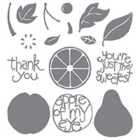 Apple of My Eye Photopolymer Stamp Set by Stampin' Up!