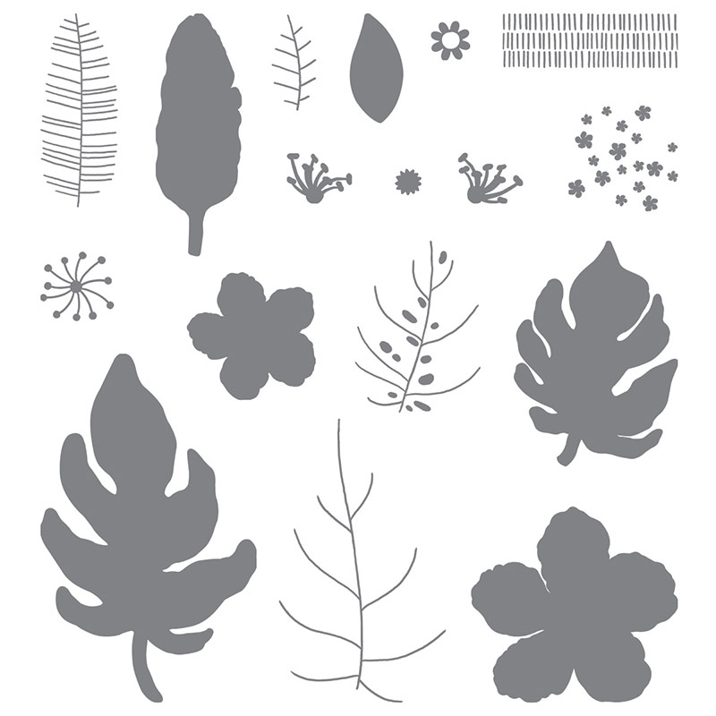 Botanical Blooms & Tin of Cards stamp sets