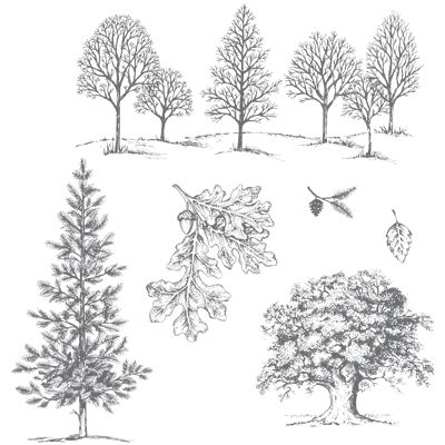 Image result for lovely as a tree stampin up