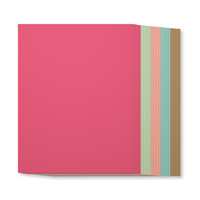 2013-2015 In Color 8-1/2" x 11" Cardstock