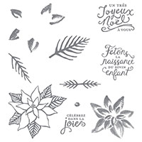 Saison de fêtes Photopolymer Stamp Set (French) by Stampin' Up!