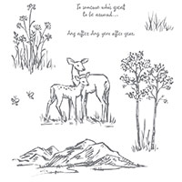 In the Meadow Wood-Mount Stamp Set