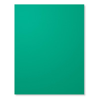 Emerald Envy 8-1/2 x 11 Cardstock