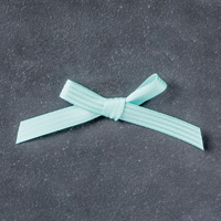 Pool Party 3/8 (1 cm) Stitched Satin Ribbon