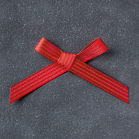 Real Red 3/8 (1 cm) Stitched Satin Ribbon