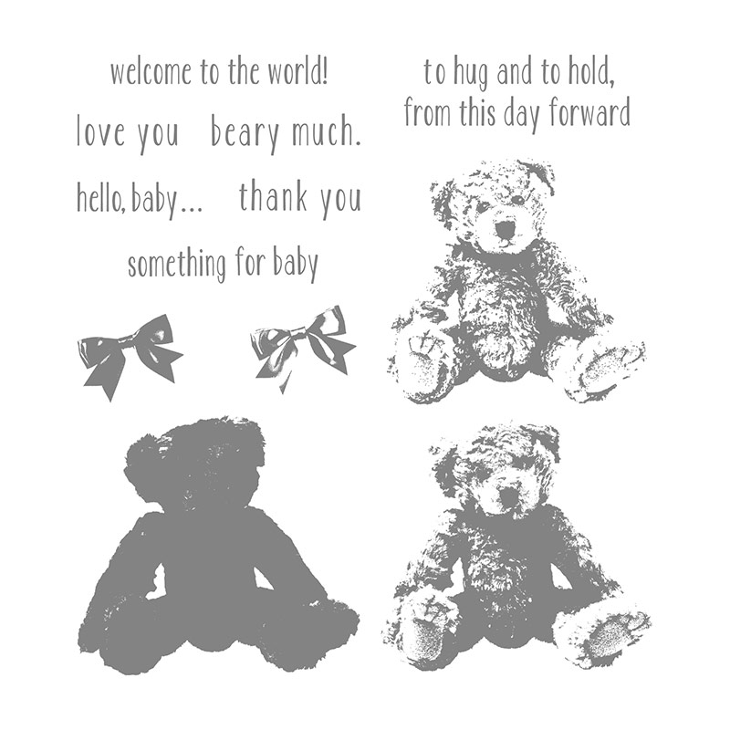Image result for Baby Bear stampin up