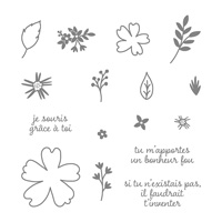 Amour et affection Photopolymer Stamp Set (French)