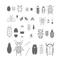 Beetles & Bugs Photopolymer Stamp Set