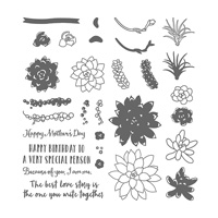 Oh So Succulent Photopolymer Stamp Set