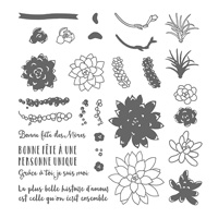 Si succulent Photopolymer Stamp Set